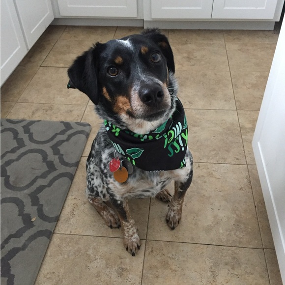 Hi! I’m Jen :) - Picture 3 of 9